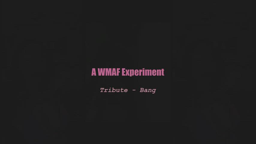 A wmaf experiment - Tribute - Bang (splitscreen PMV)