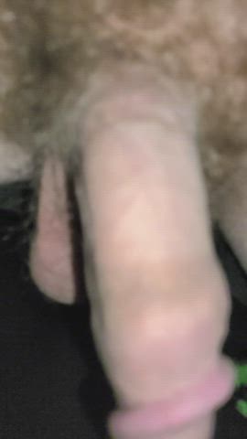 balls cock hairy gif