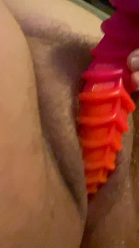 amateur bad dragon dildo hairy pussy gif