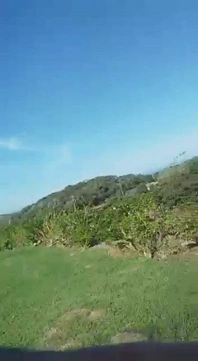 Couple Caught Fucking Behind A Bush