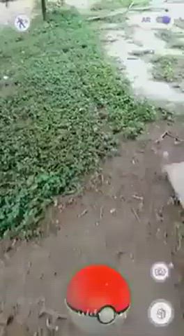 Caught Public Standing Doggy gif