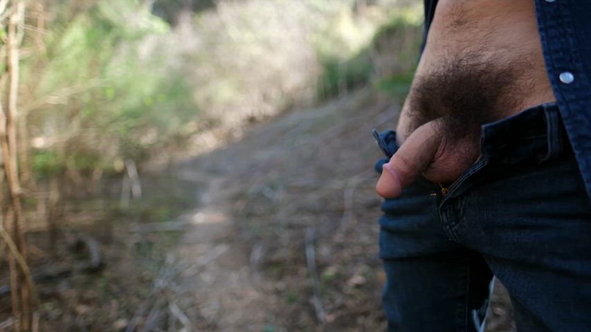 Hiking on a warm day in the Bay Area. Have you ever caught a guy with his cock out?