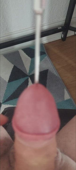 My Penis Plug and Masturbating