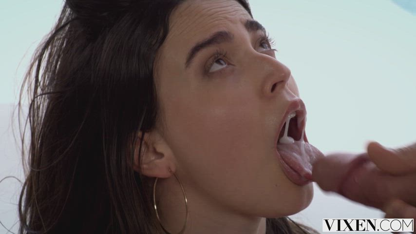 ariana van blowjob cum in mouth facial kiss latina licking pov pornstar gif