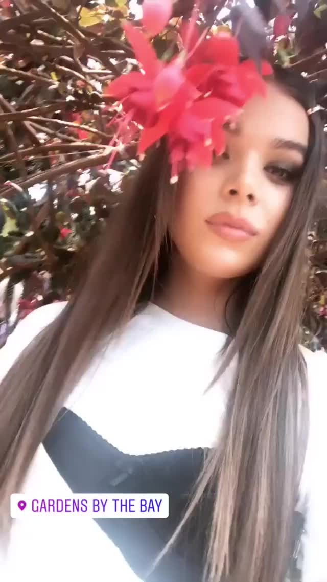 haileesteinfeld-20190909-0001