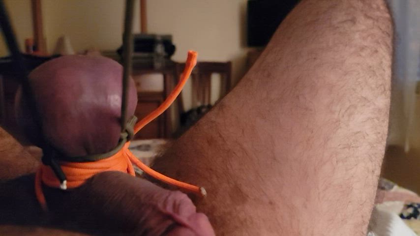 cbt micropenis rope play gif