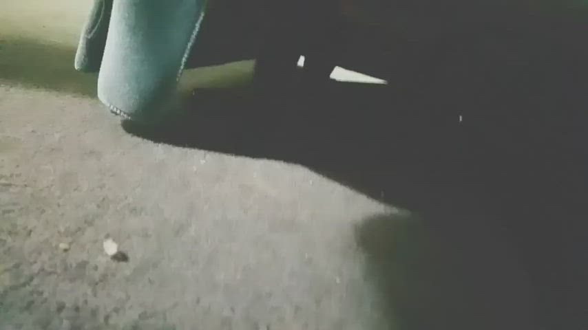 cute kitten pussy gif