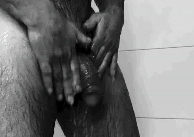 Bear Cock Shower gif