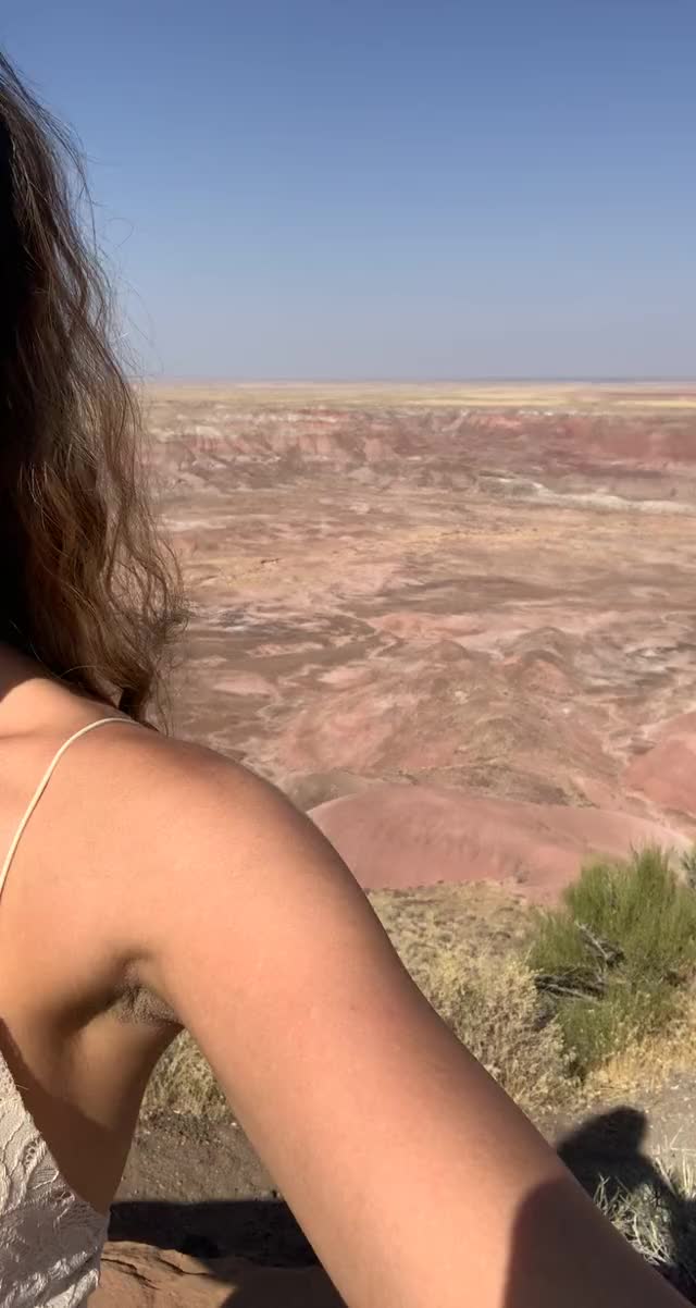 Have you even been to the petrified forest ?