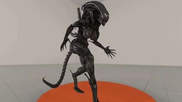 xeno walk test