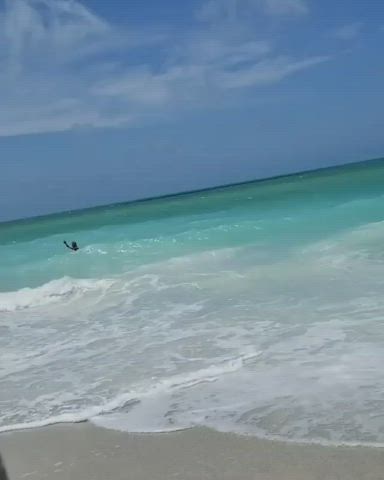 ass bbbw bbw beach big ass latina milf ssbbw gif