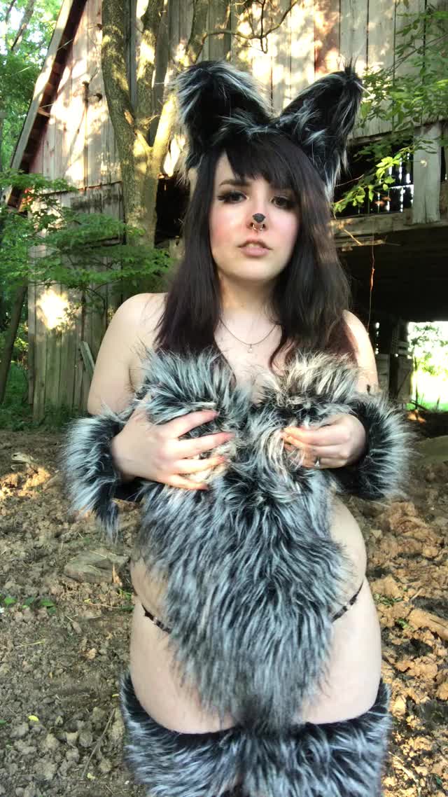 Wolf titty flash