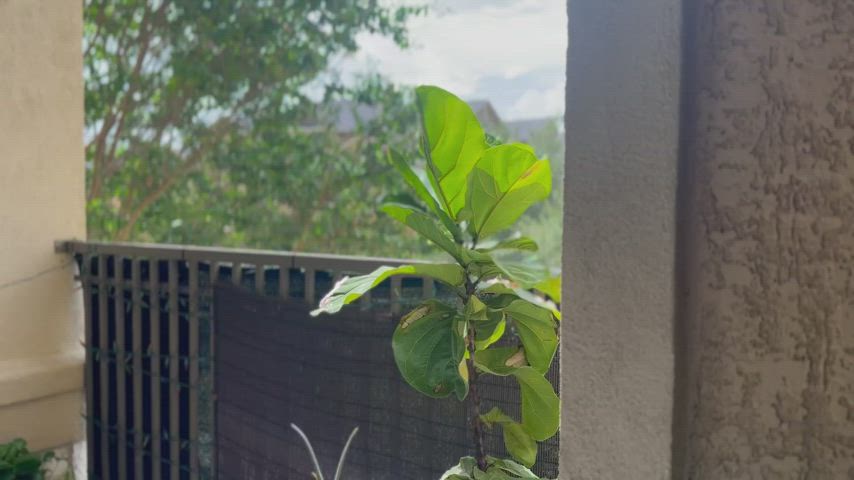 [27] a quiet display of morning titties, ft. the balcony I still haven’t fucked