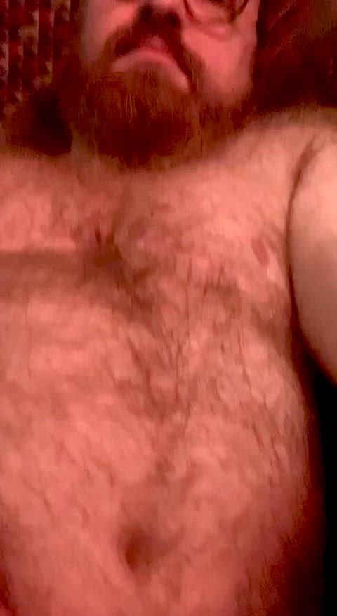 bear beard daddy ftm glasses hairy hairy chest trans trans man transgender gif