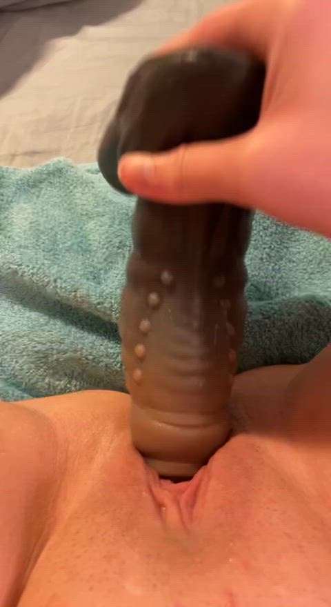 bad dragon dildo wet pussy gif