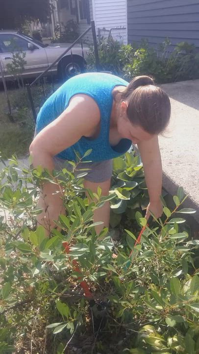 Trimming my bush and teasing the guy next door