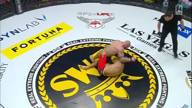 Robert Fazekas vs. Vlademir Comorovschi