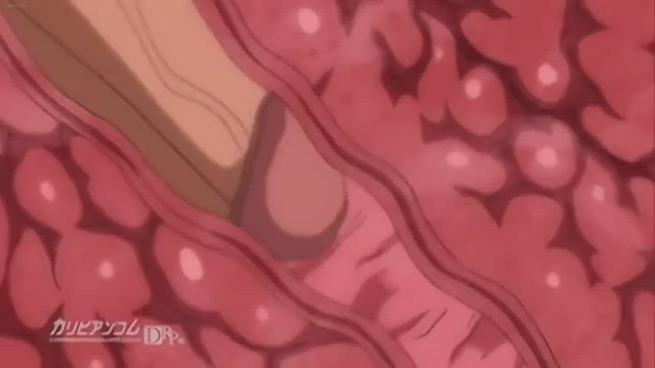 Anal Cum Hentai gif