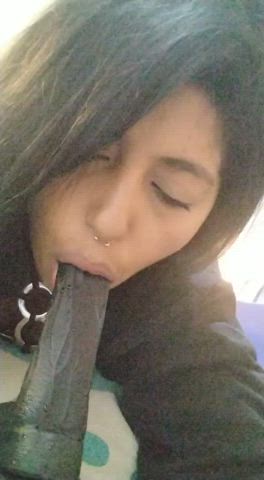 dildo latina oral solo gif