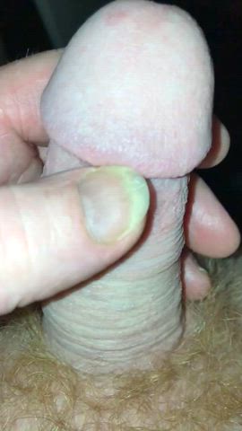 big dick close up cock dutch edging male masturbation solo real-cock gif