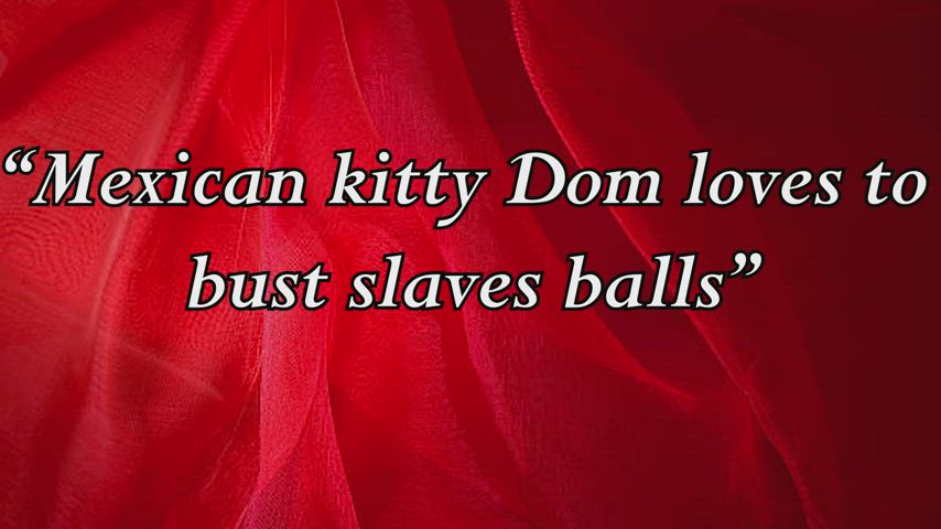 Cute Mexican Kitty Dom Busting Testicles