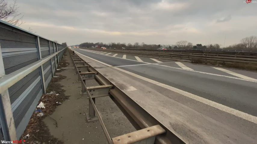 Public German Pee at the Highway