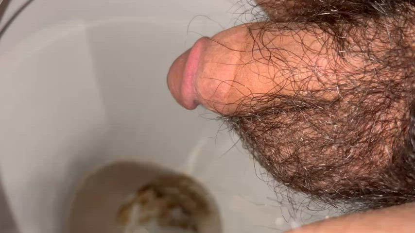 balls hairy hairy cock piss pissing pubic hair watersports gif