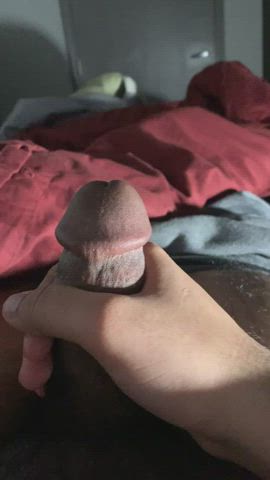 Cock Indian Jerk Off gif