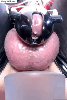 chastity cum cumshot forced hands free onlyfans ruined orgasm gif