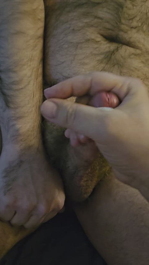 bear beard cum cumshot hairy hairy chest hairy cock handjob homemade jerk off gif