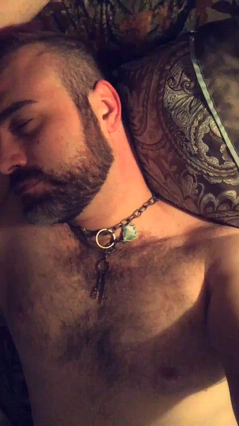 amateur bear gay gif