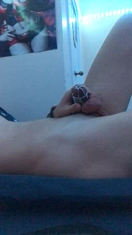 ballbusting chastity feet humiliation slave gif