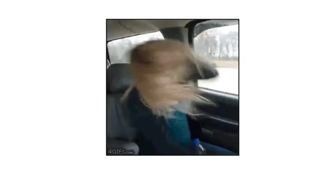 Request granted: Backseat dancer