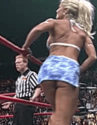 Babe Big Tits Bikini Blonde Torrie Wilson Upskirt gif