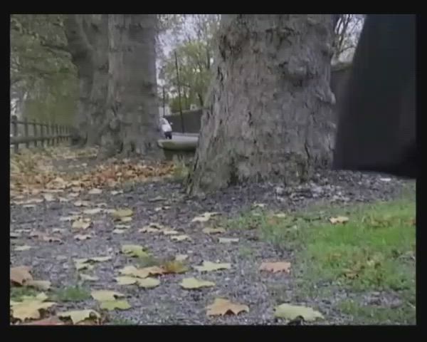 French redhead pissing by a busy road