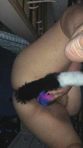 This puppy needs ti be bred,, grinding on her toy will not do :(