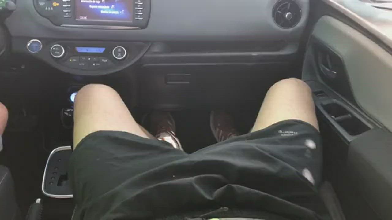 sucking cock in a car