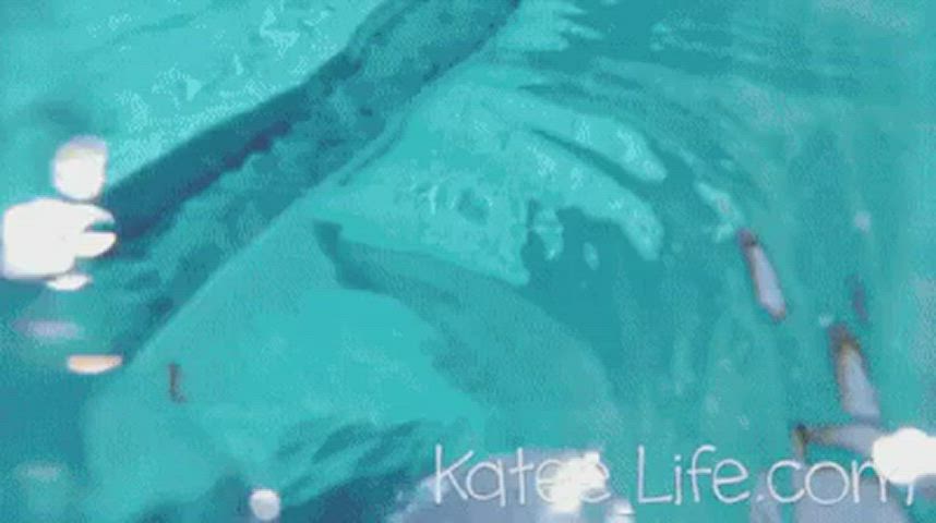 Big Tits Katee Owen Natural Tits Swimming Pool gif