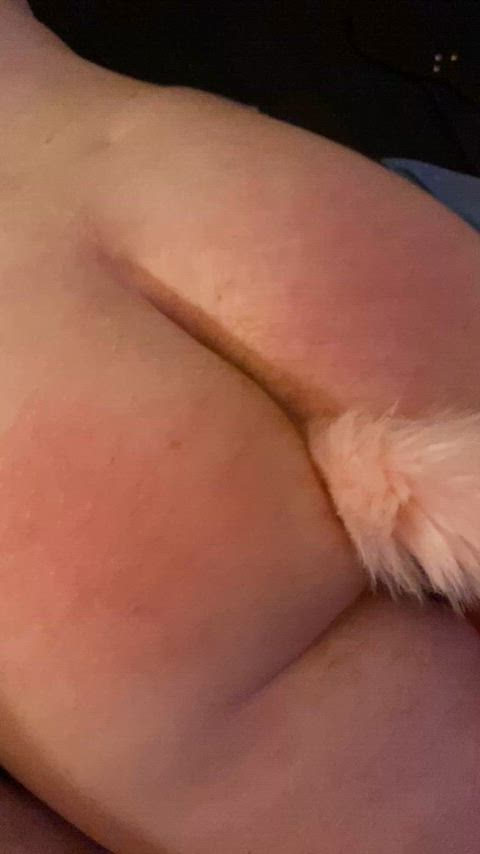 ass puppy spanking tail plug gif