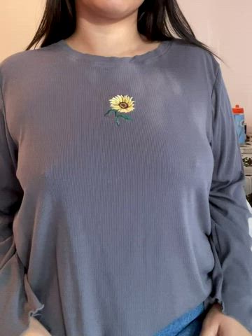 Do you like my sunflower? (Oc drop)
