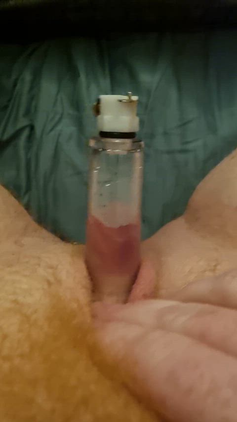 Pumping my hard little dick for you to suck