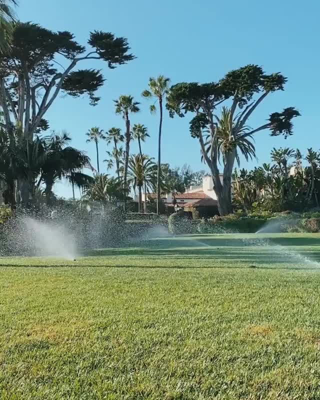 Jordyn Jones sprinkler