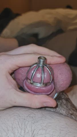 Chastity GIF by ehaculator