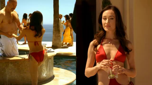 Maggie Q (Nikita)