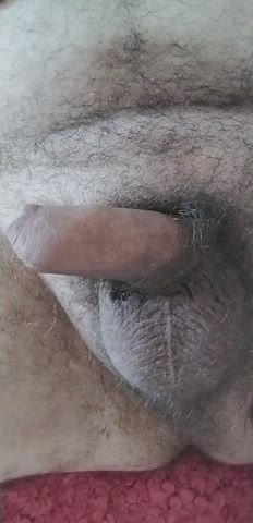 balls bottomless hardcore penis precum twink gif