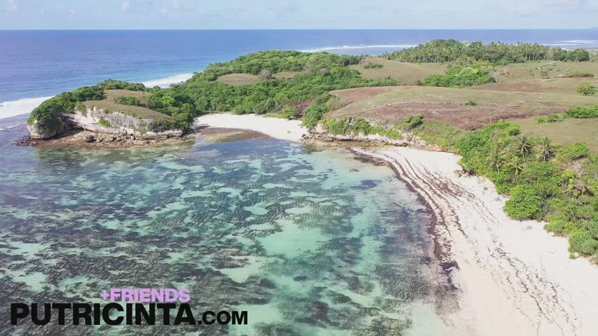 beach bikini putri cinta gif