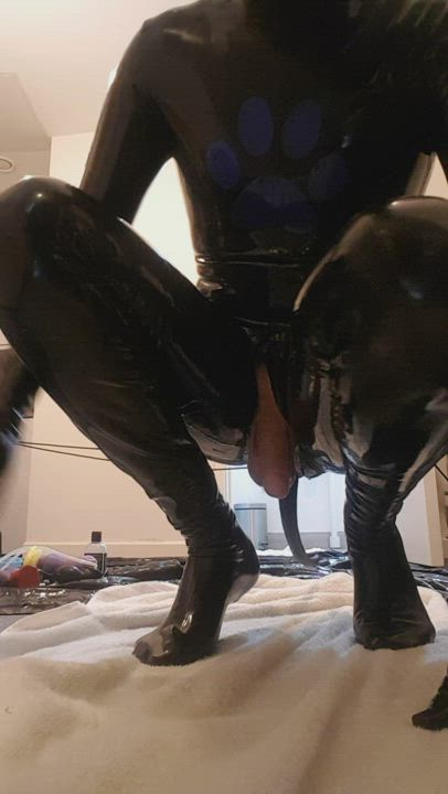 Gay Puppy Sub gif