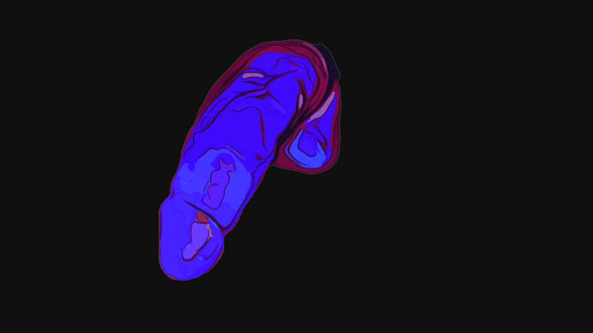 Illustrated Penis Animation