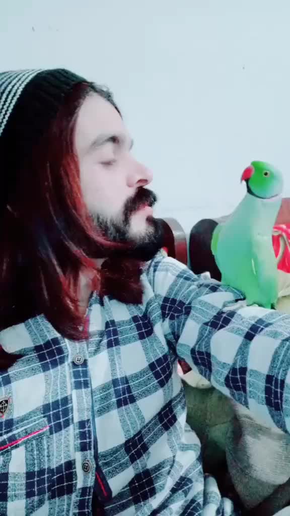 my parrot ??? #tiktokindia #featureme #1millionaudition #dani000 #fun #parrot #bloopersjoy