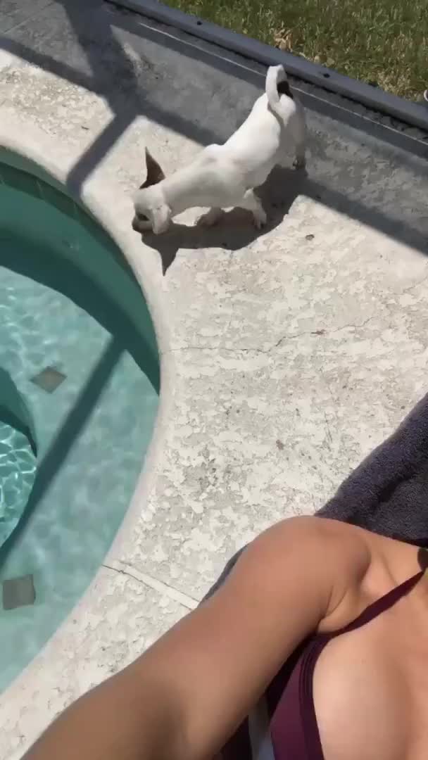 Alexa Bliss by the pool
